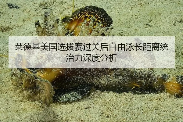 莱德基美国选拔赛过关后自由泳长距离统治力深度分析