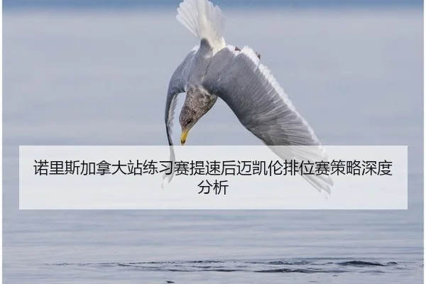 nuo-li-si-jia-na-da-zhan-lian-xi-sai-ti-su-hou-mai-kai-lun-pai-wei-sai-ce-lve-shen-du-fen-xi-2-786.jpg